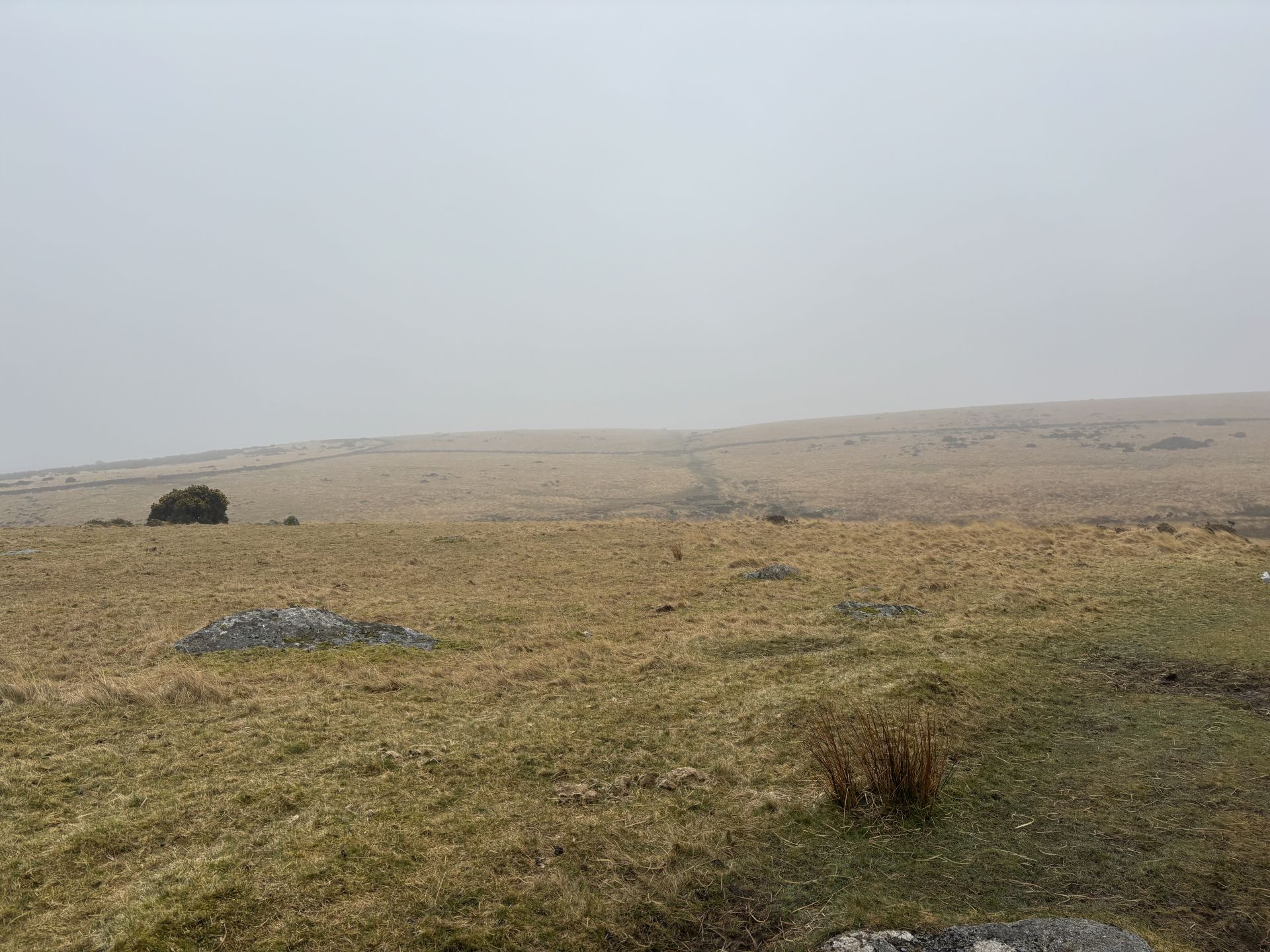 Open moorland in the mist
