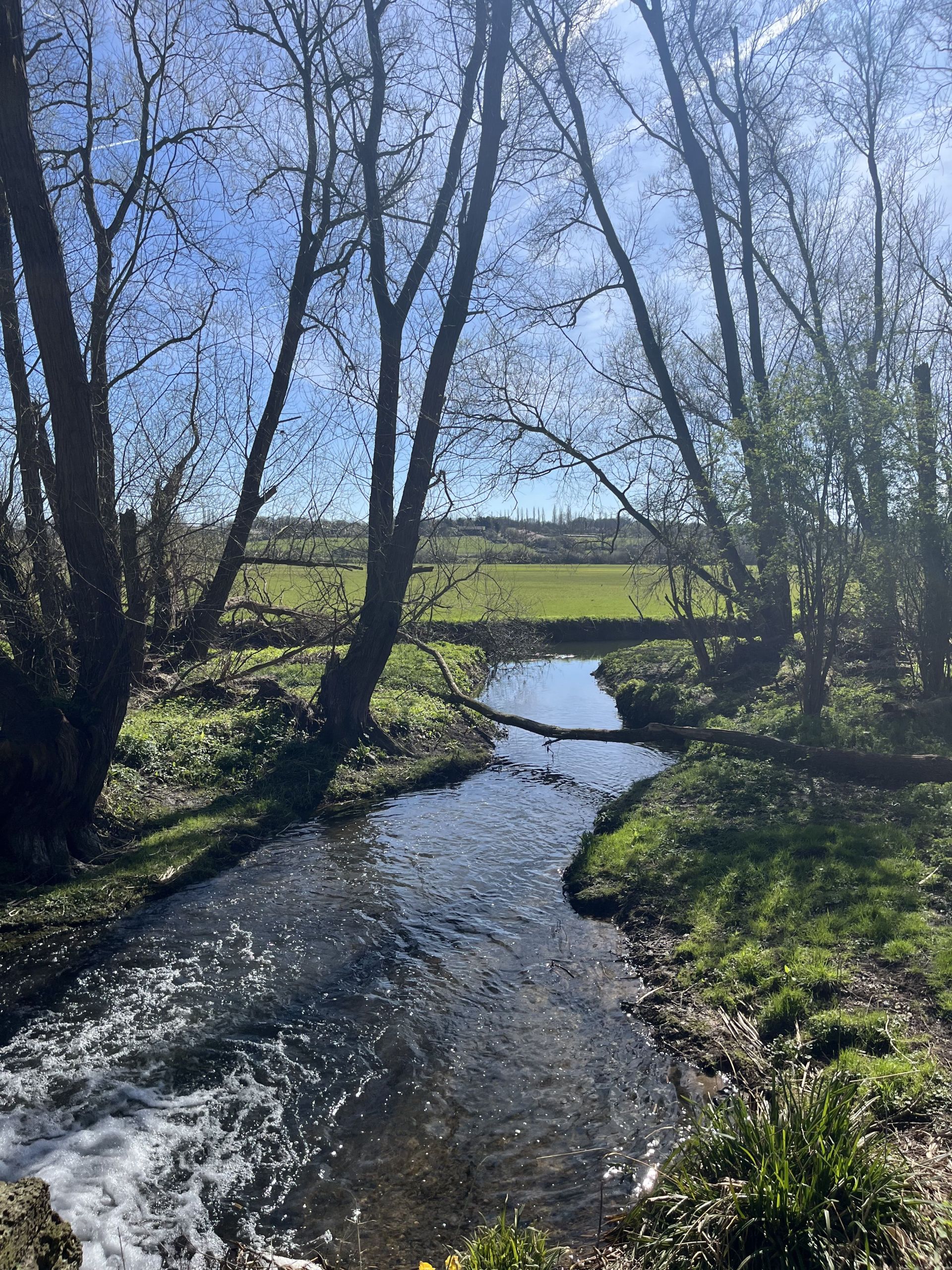 The River Stort, Essex