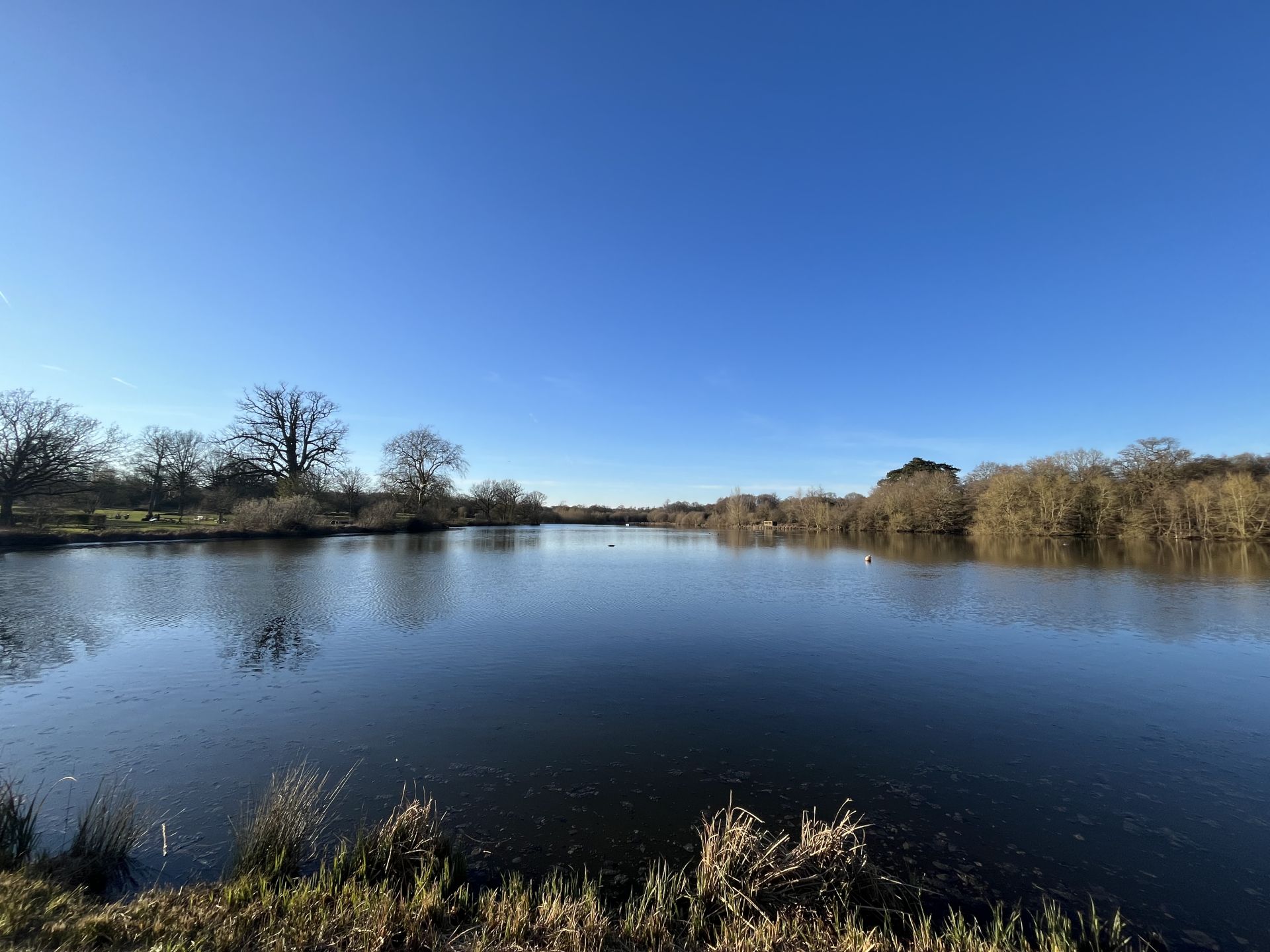 Hatfield Forest Lake
