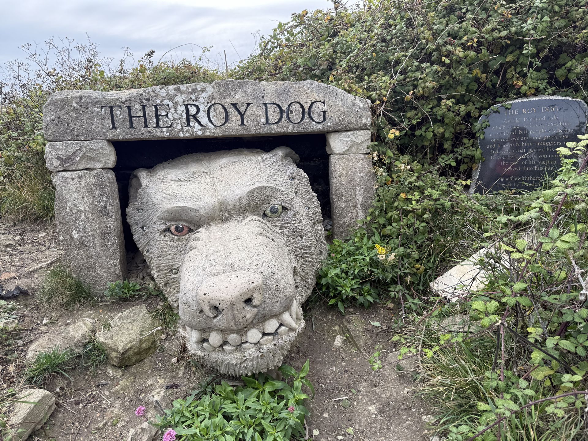 The Roy Dog - he eats people