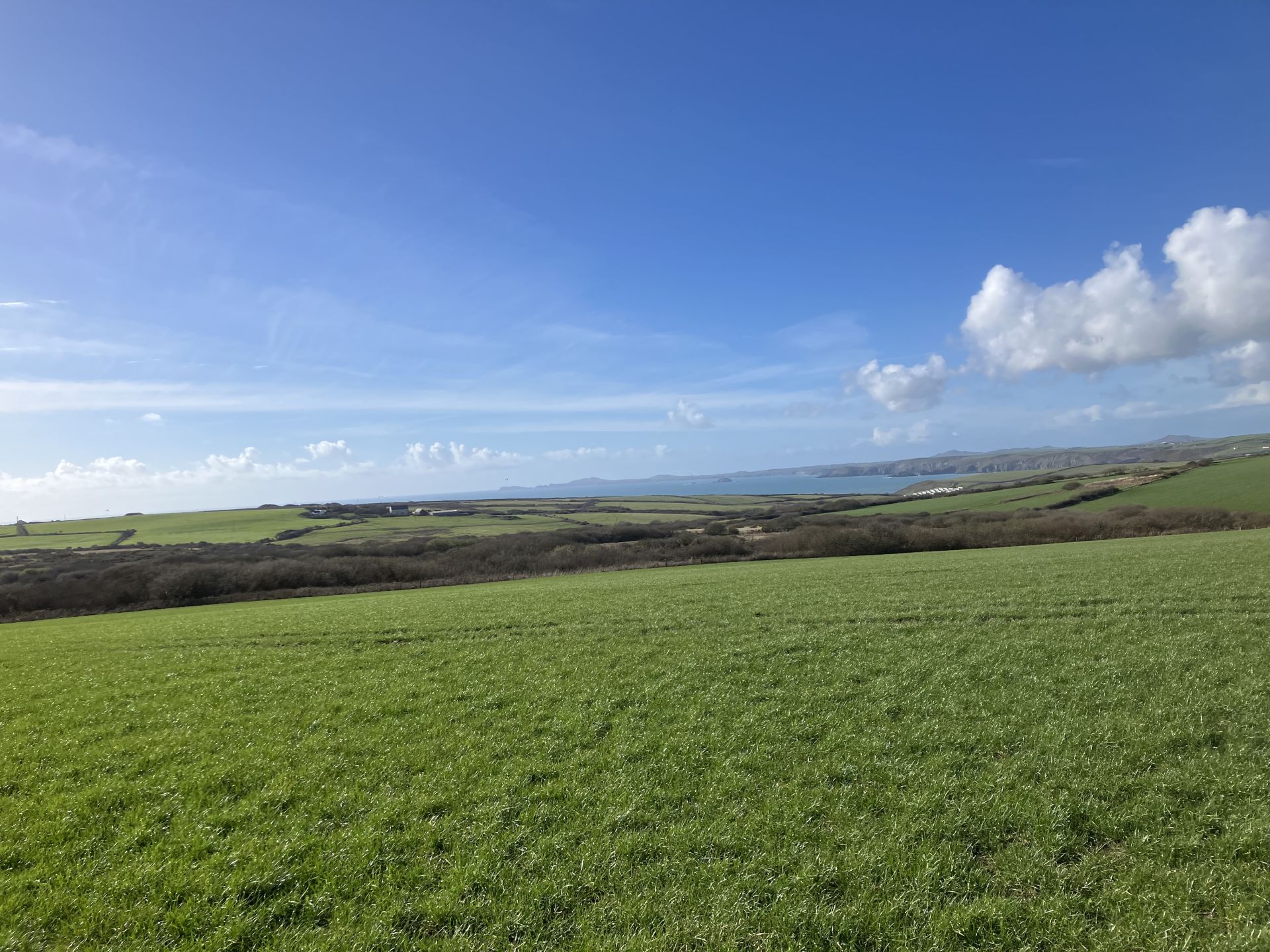 Ramsey & St Brides Bay from Roch