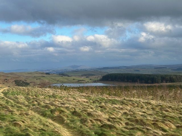 View from Chapel Hill towards Hawick