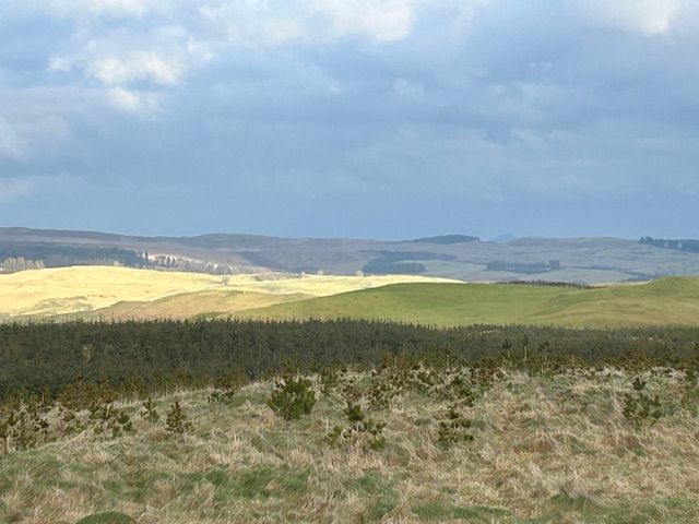 A view from Chapel Hill