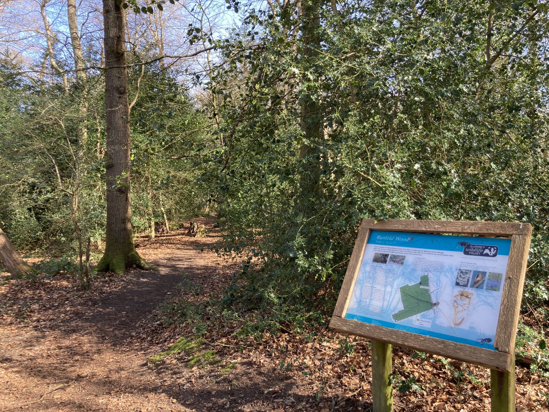 View of Runfold nature reserve