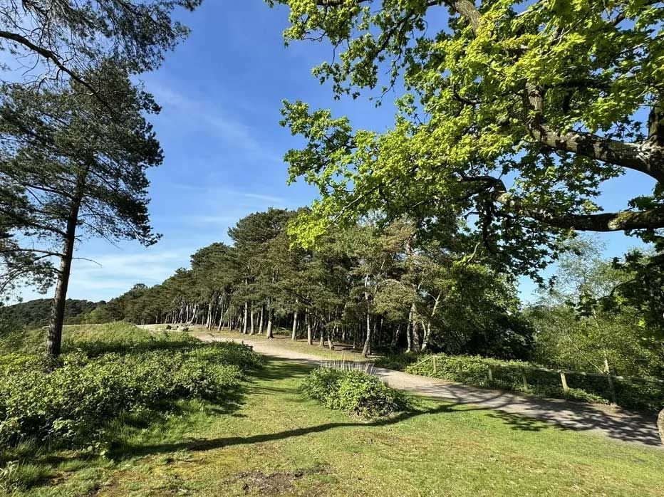 View of Lickey Hills