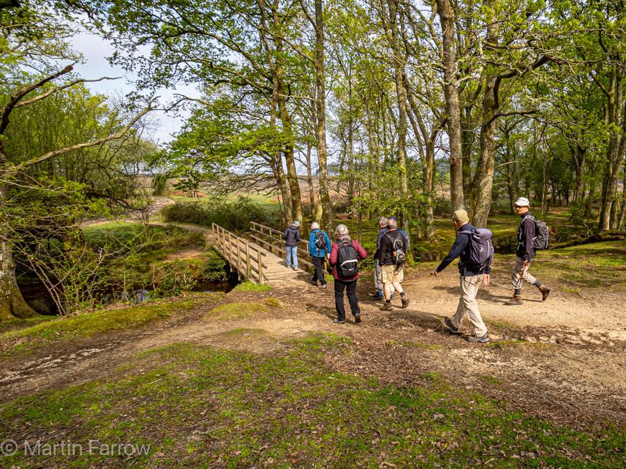 New Forest Spring Ramblers walking