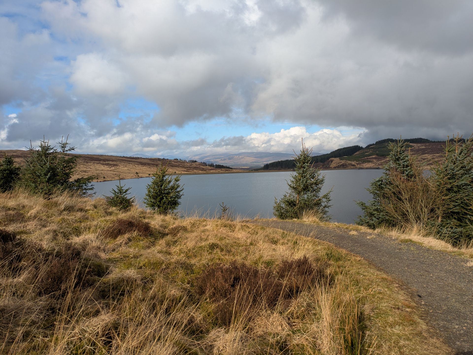 hard surfaced path leading down to a reservoir with some small fir trees in front