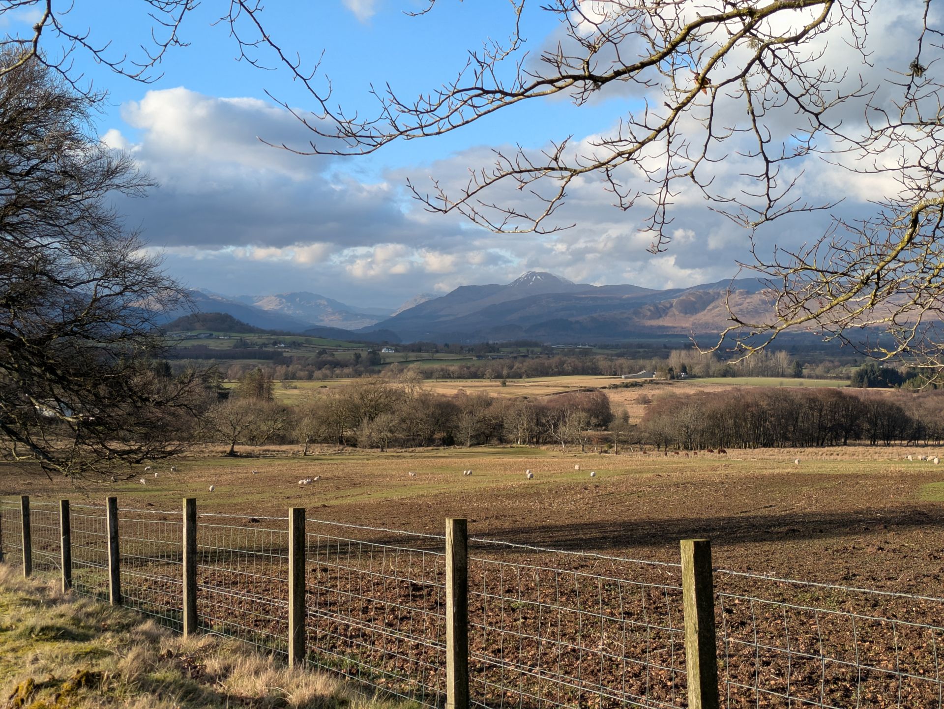 View across fields to  Loch Lomond hills