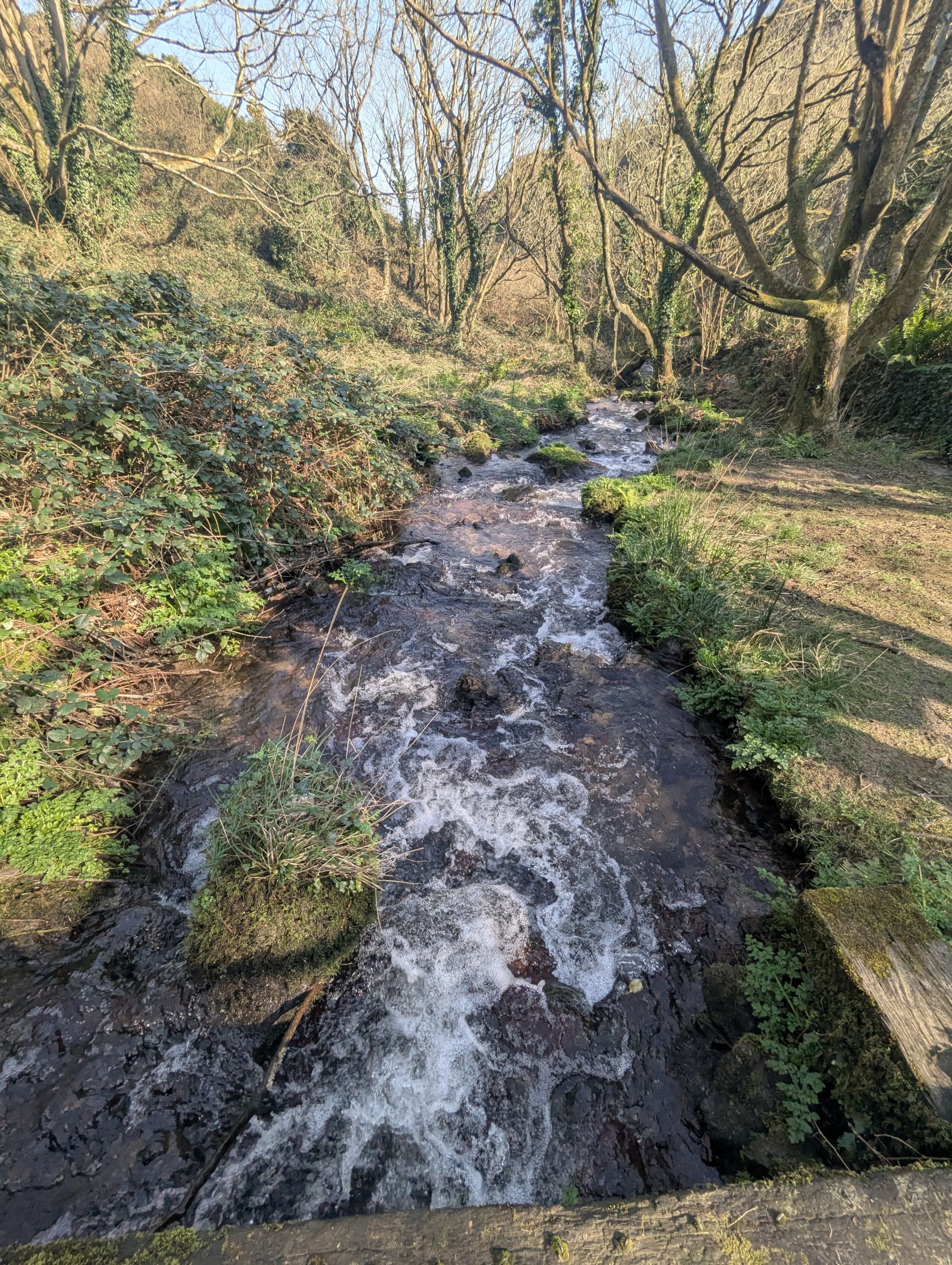 Stream near Carregwastad