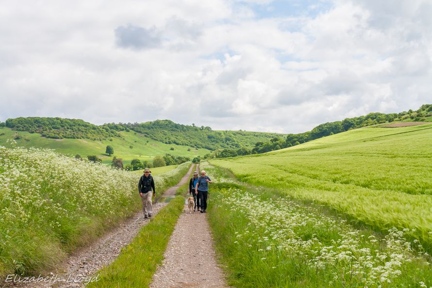 ramblers walking on track in spring