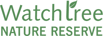 Watchtree logo