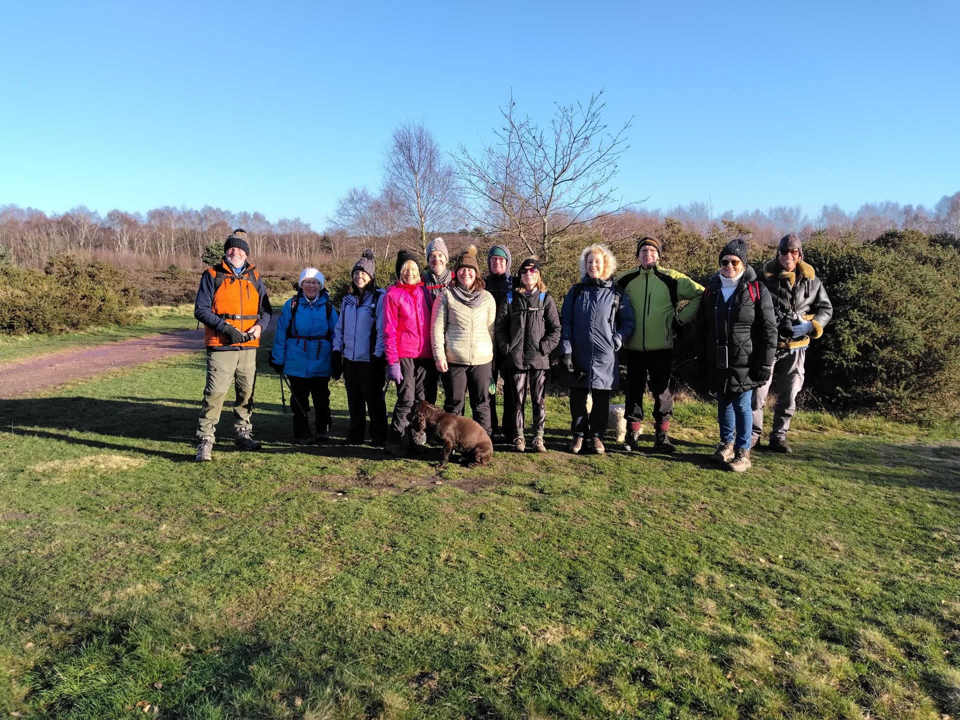 Wyre Forest group