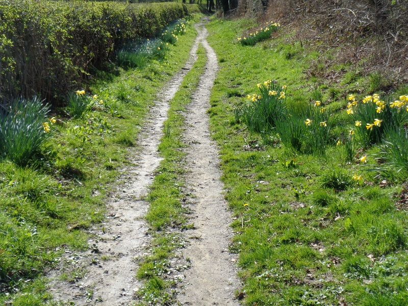 A lovely long path downhill