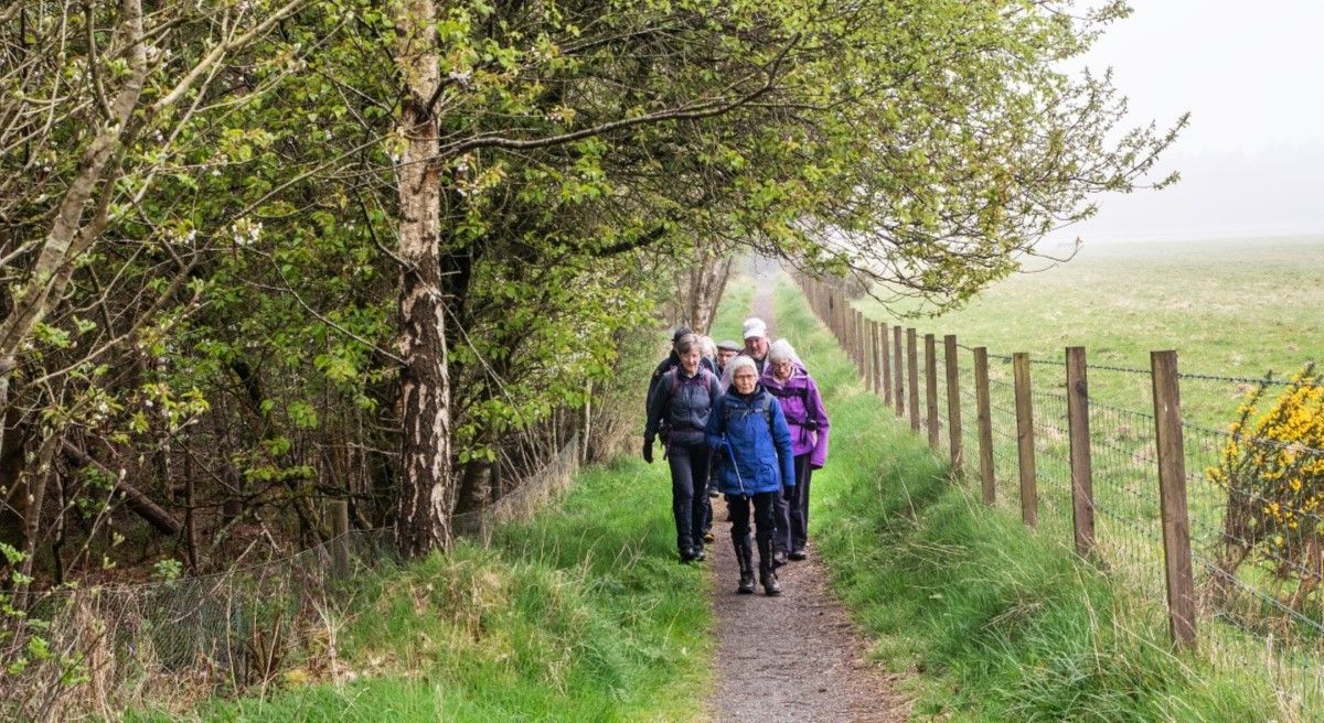 Walkers on path between woodland & field edge
