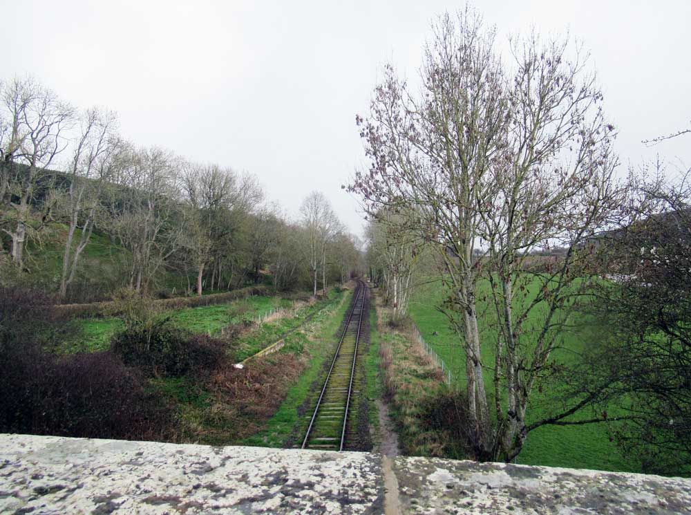 A railway line, flanked by trees.