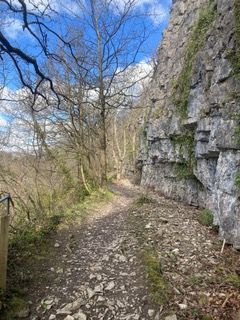 Track next to quarry
