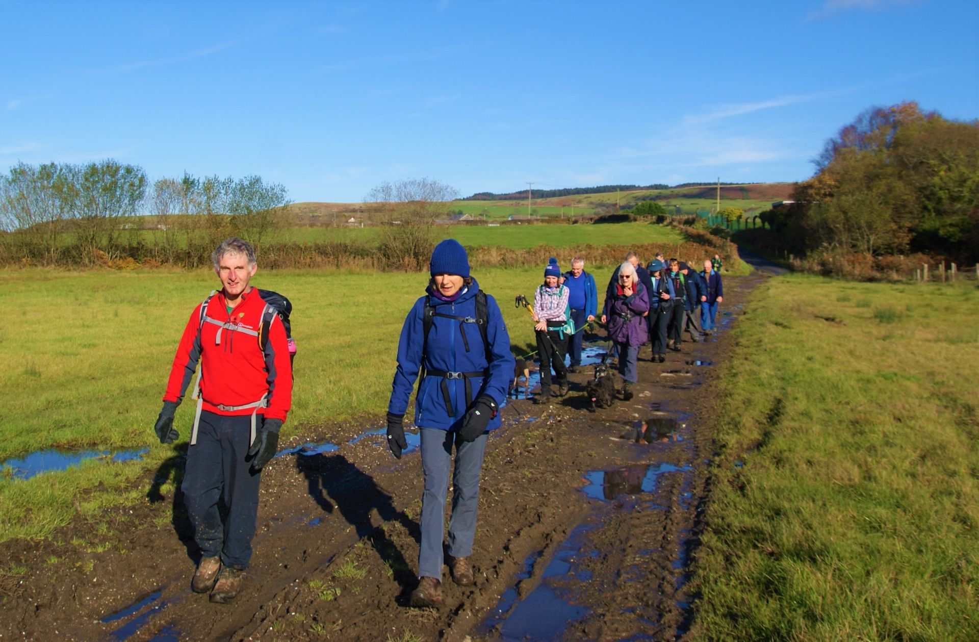 Briton Ferry Woods - Ramblers