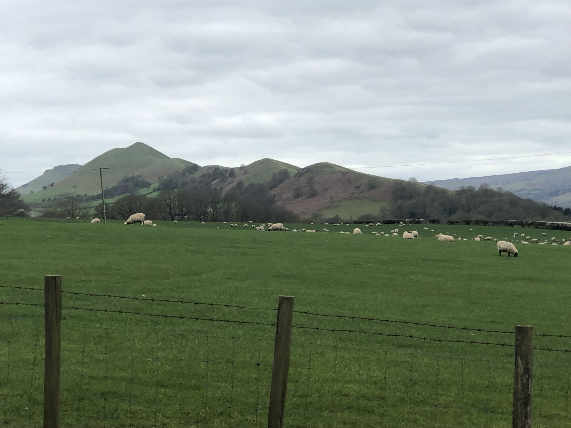 “Climb every mountain!”