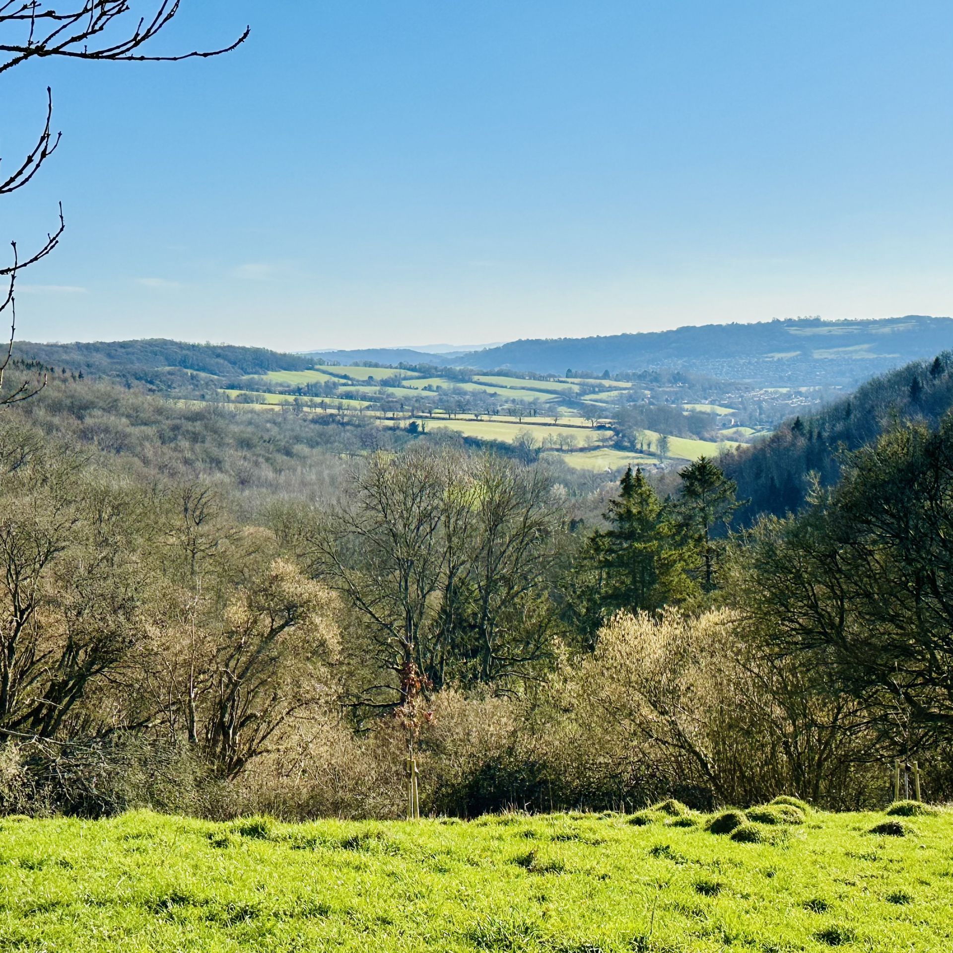 View of St Catherine's Valley