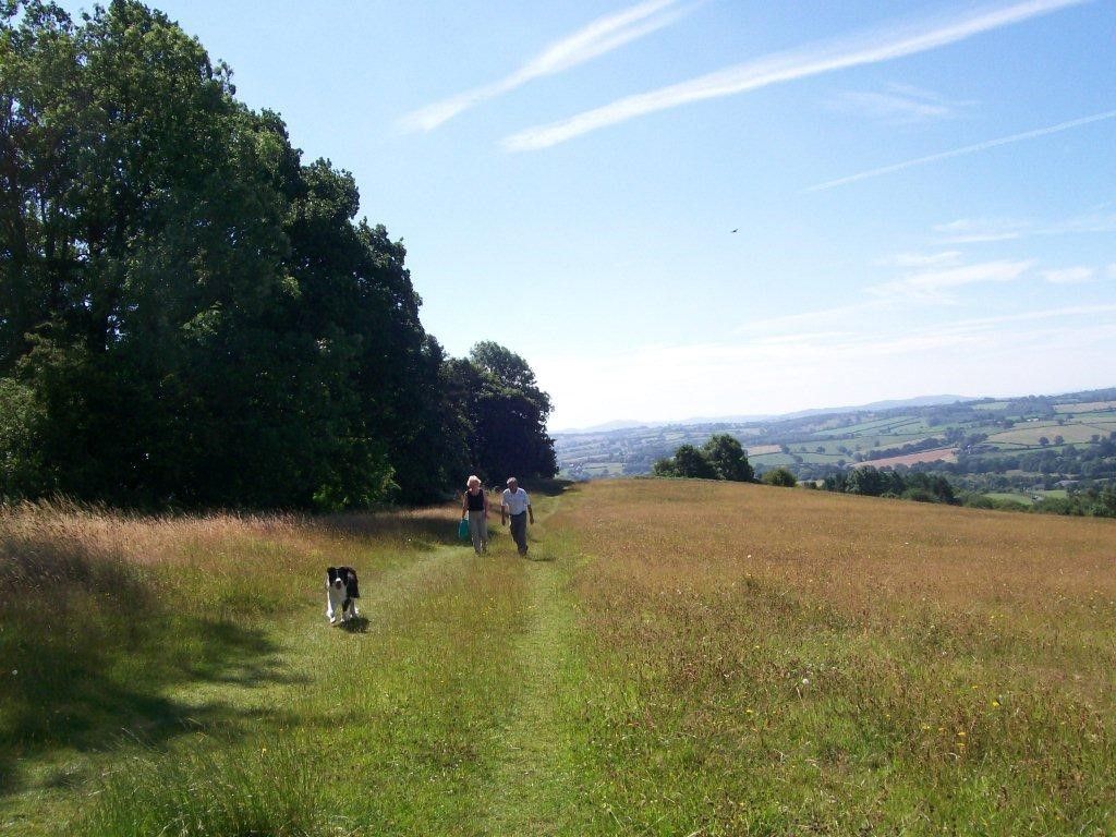 Another view of the Downs