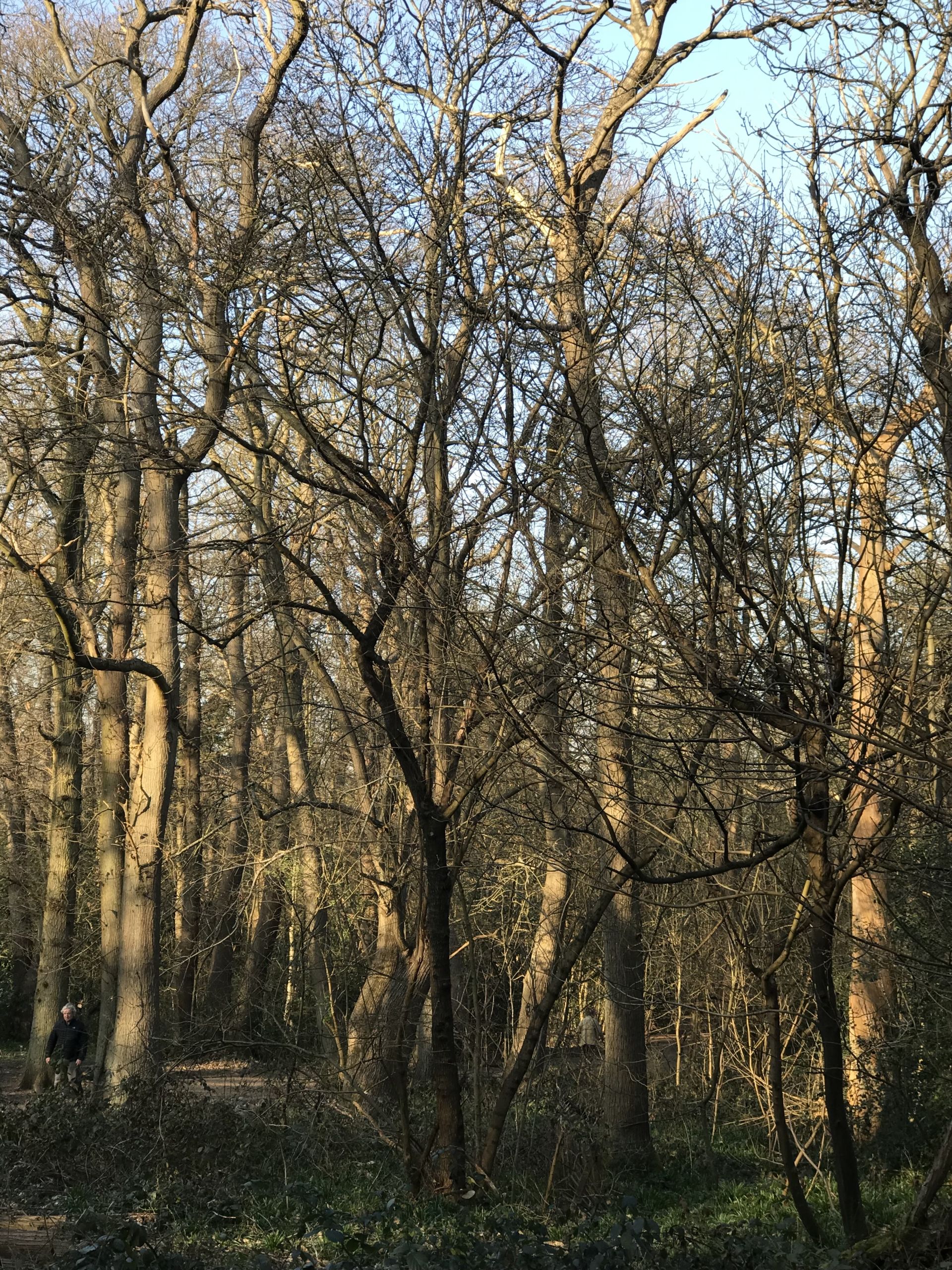 Beckenham Place Park