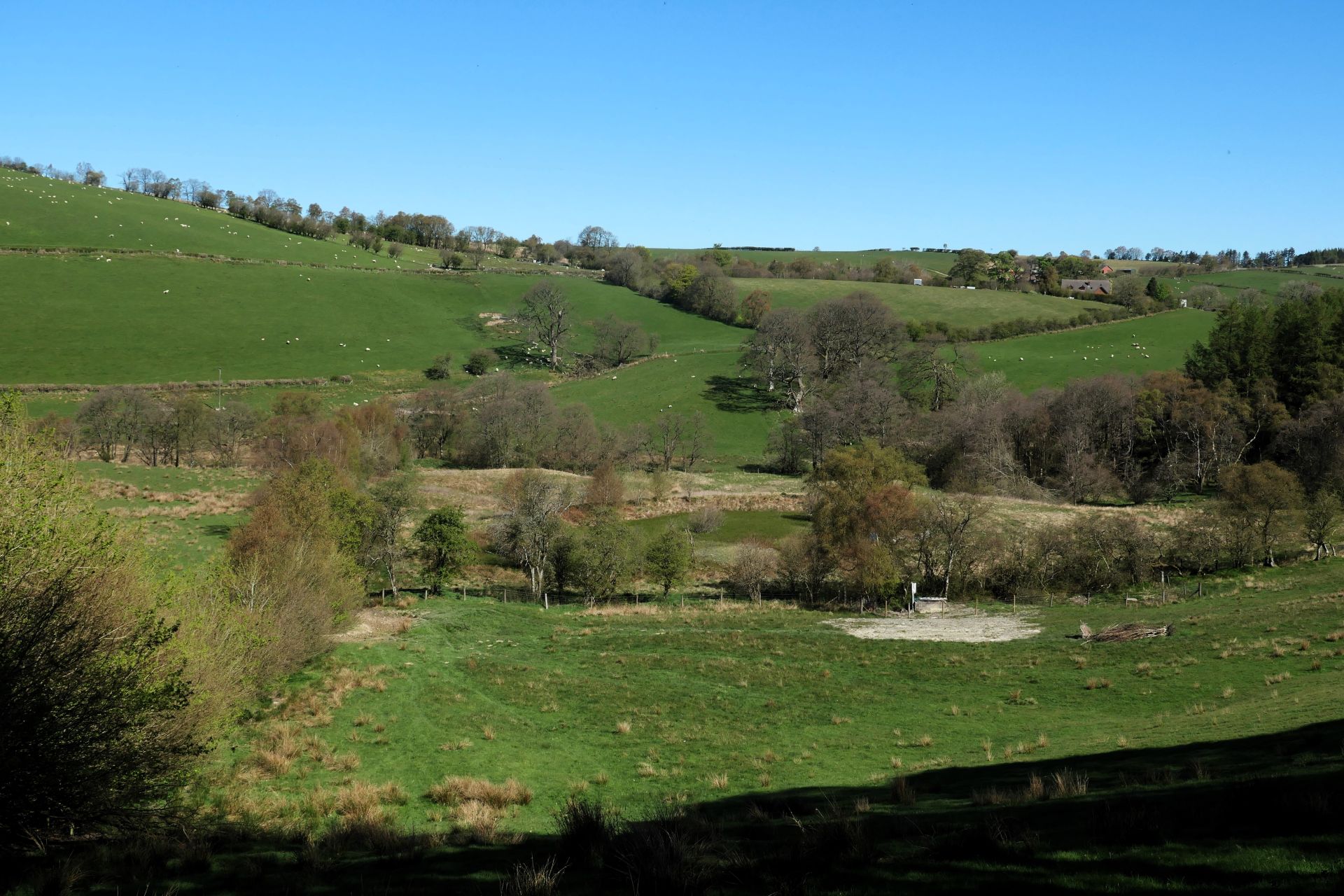 Llananno Loop - Ramblers