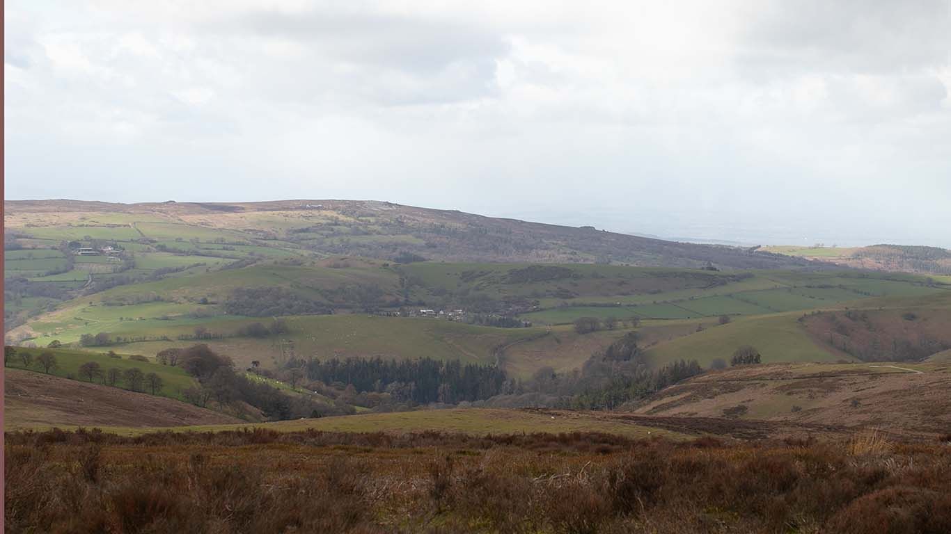 Overlooking Medlicott