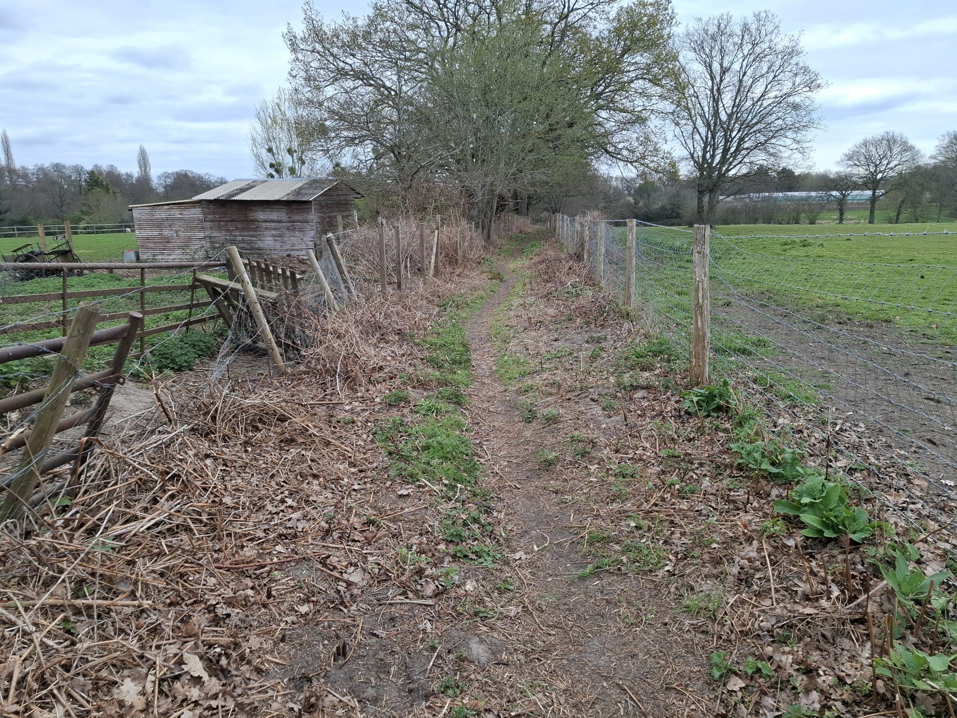 Cleared by Woking Ramblers