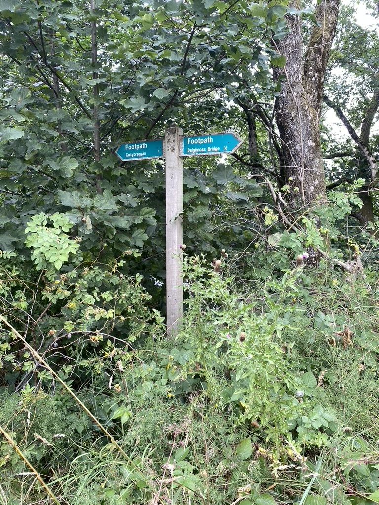Sign Post