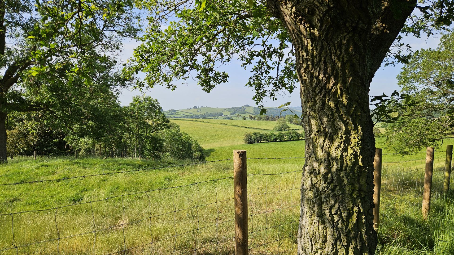 Hopesay to Burrow Hill Fort, returning by Aston on Clun - Ramblers