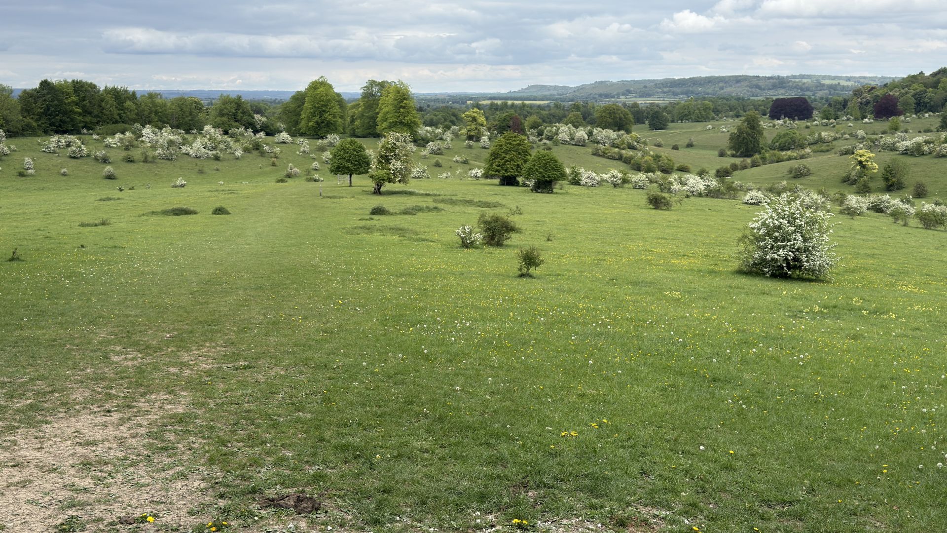 Tring to Buckland Common - Ramblers