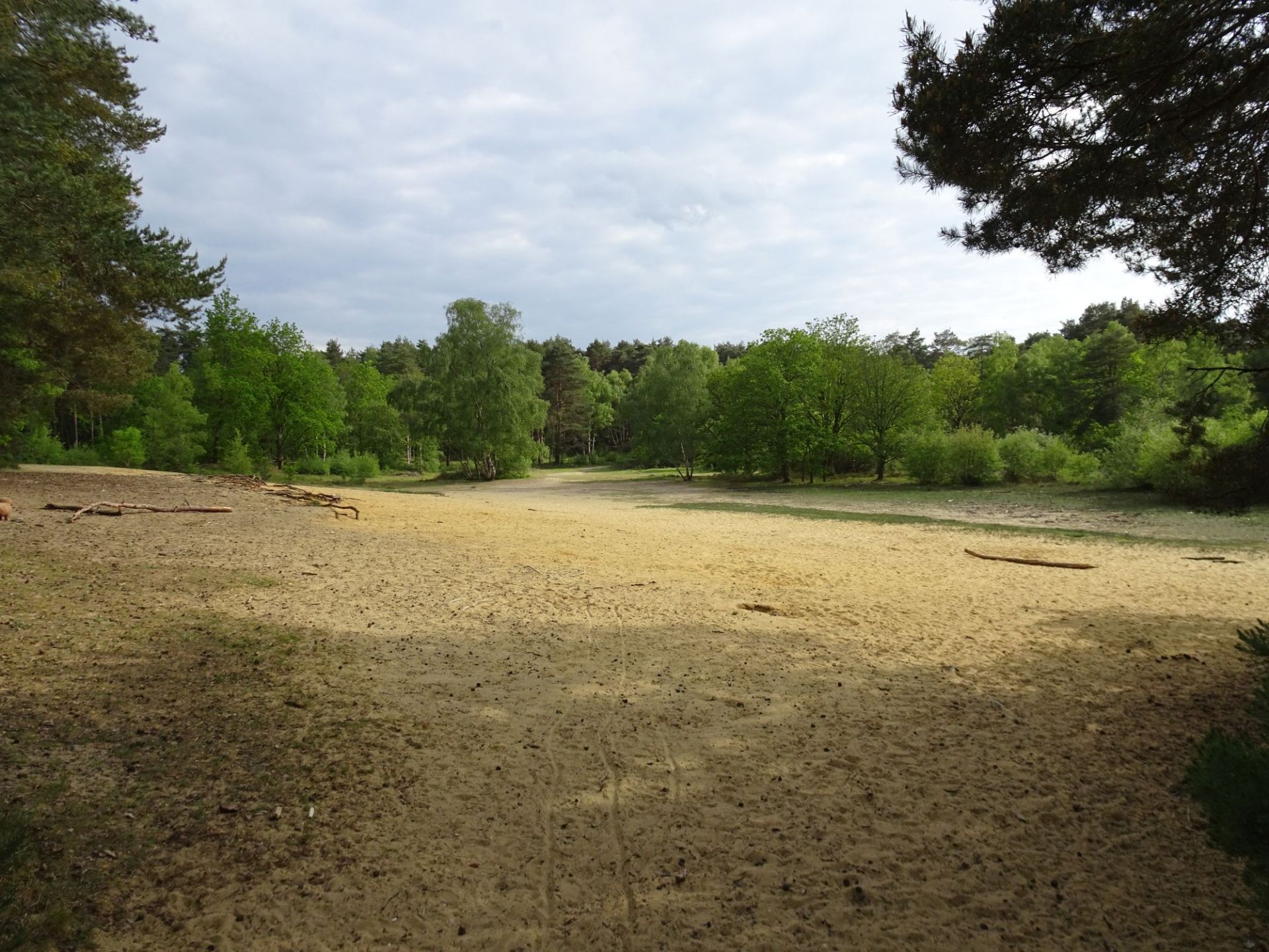 Horsell Common & Basingstoke Canal, Woking - Ramblers