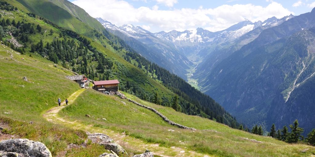 view from the top of an alp on a sunny day, overlooking snow covered peaks and lush green grass