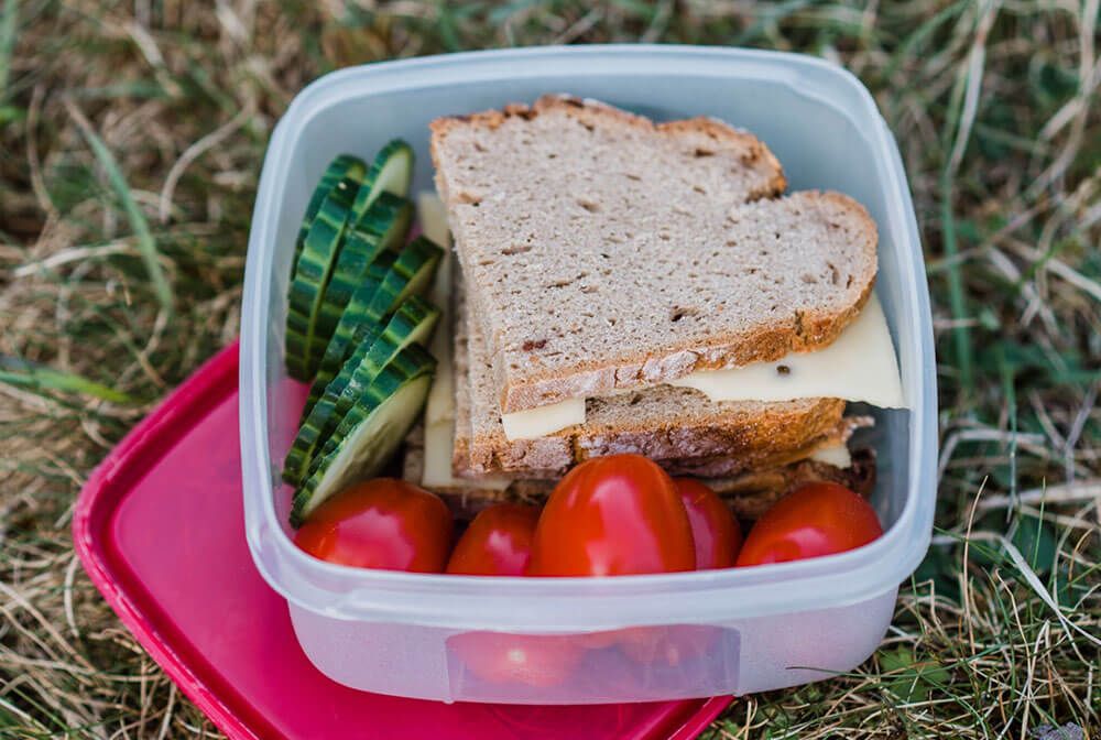 Sandwiches and sliced cucumber and cherry tomatoes in a tupperware, on grass. 