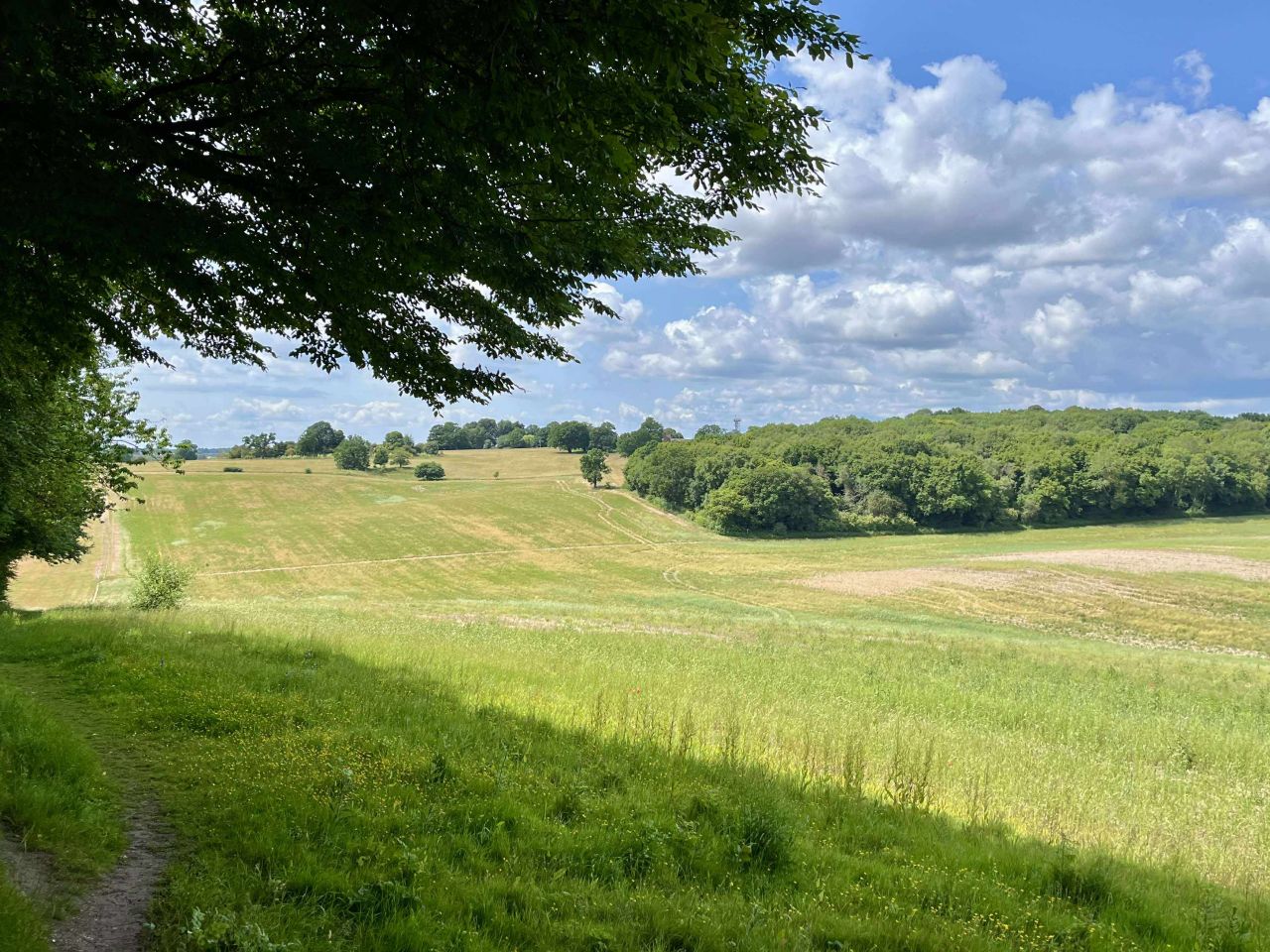 A view of rolling grass fields