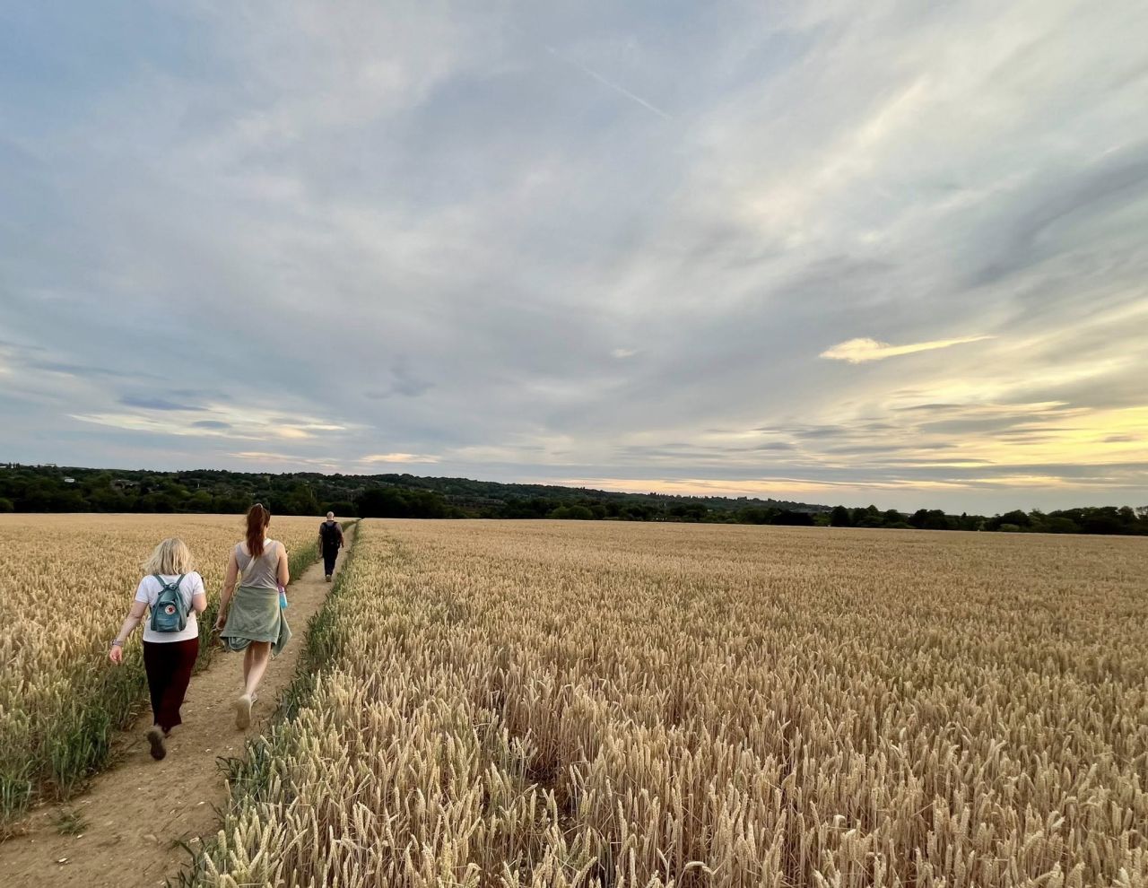 Walkers crossing a grain field