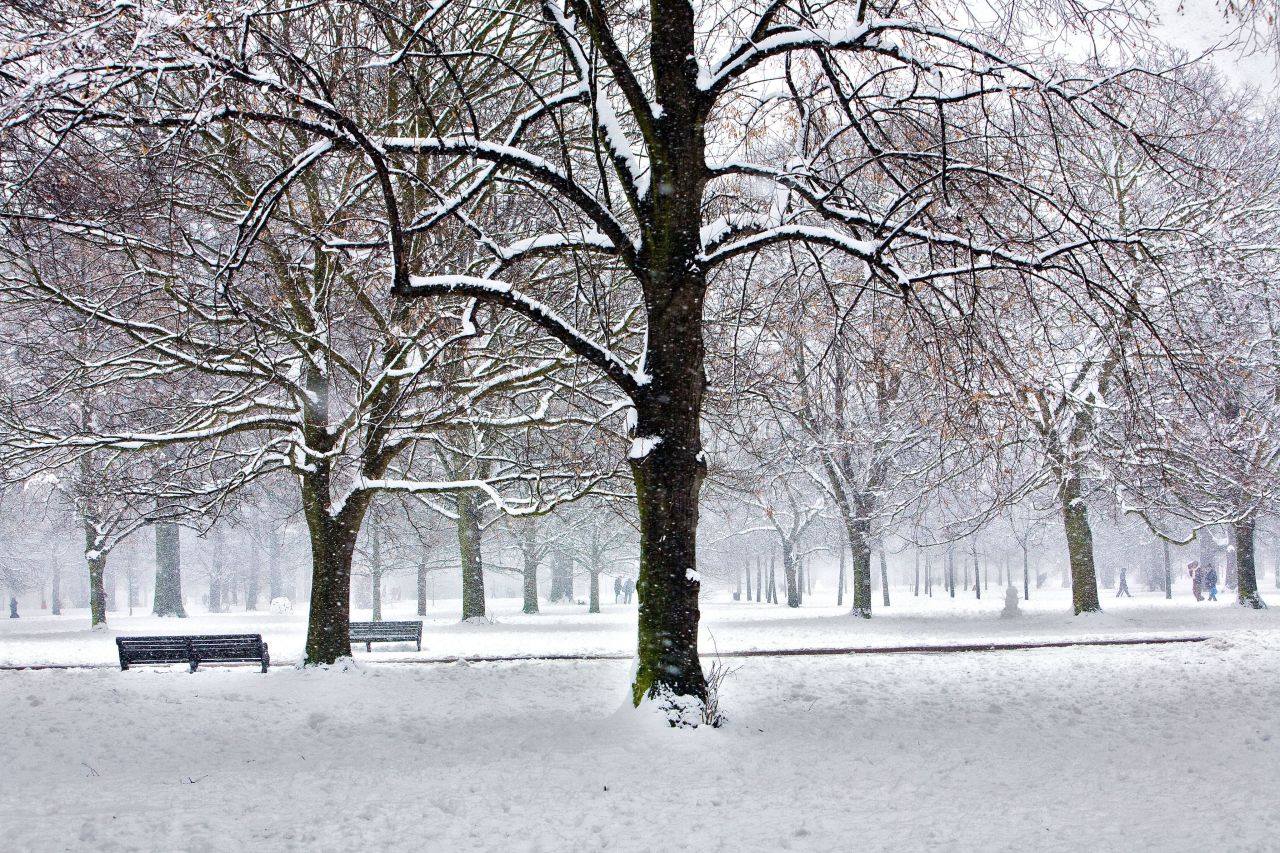 A blanket of snow covers one of London's parks