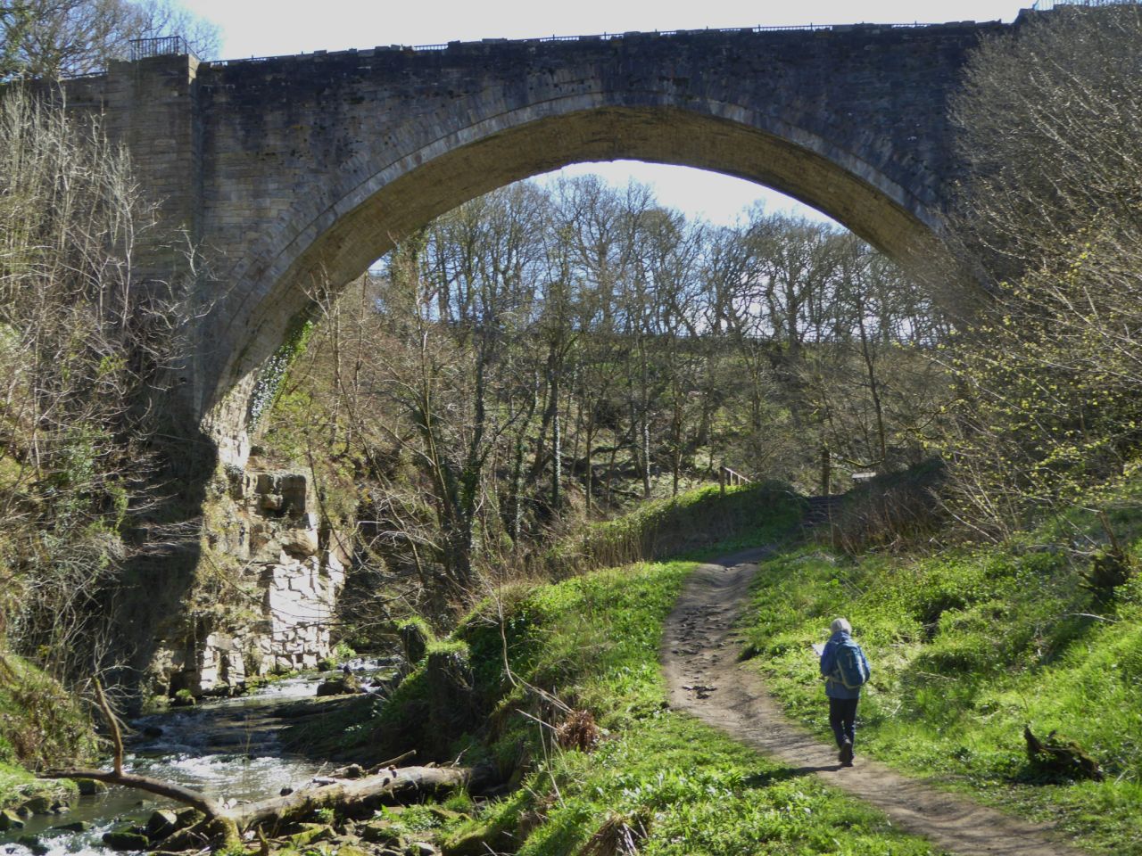 Causey Arch