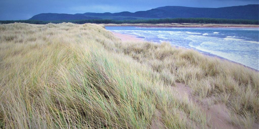 Photo of coul links