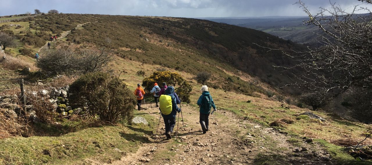 on Dartmoor above the Dart river