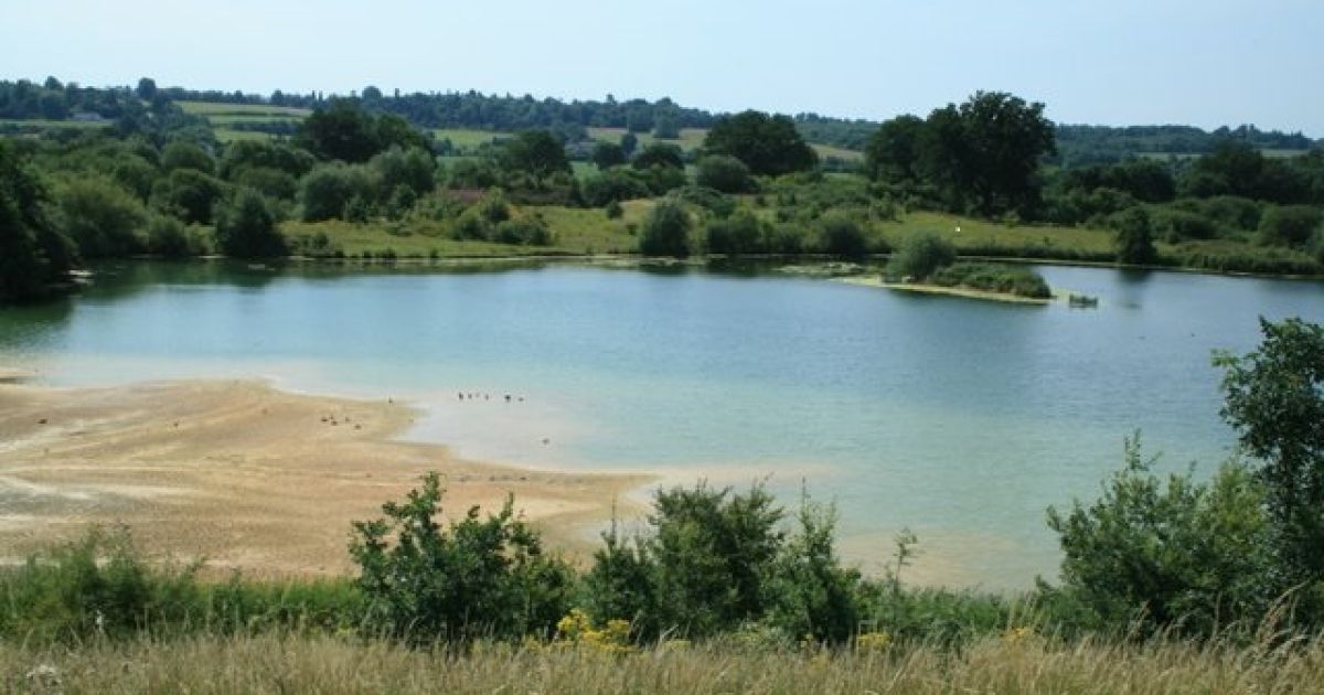 Nutfield Marsh