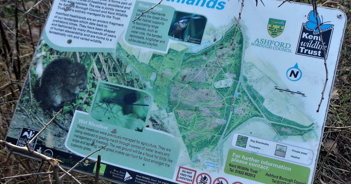 Hothfield Common Walk - Ramblers