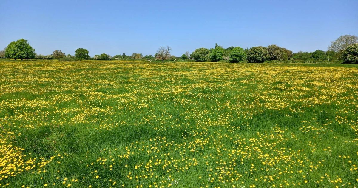 Fulstow LWG - Fulstow walk and Strawberry picking - Ramblers
