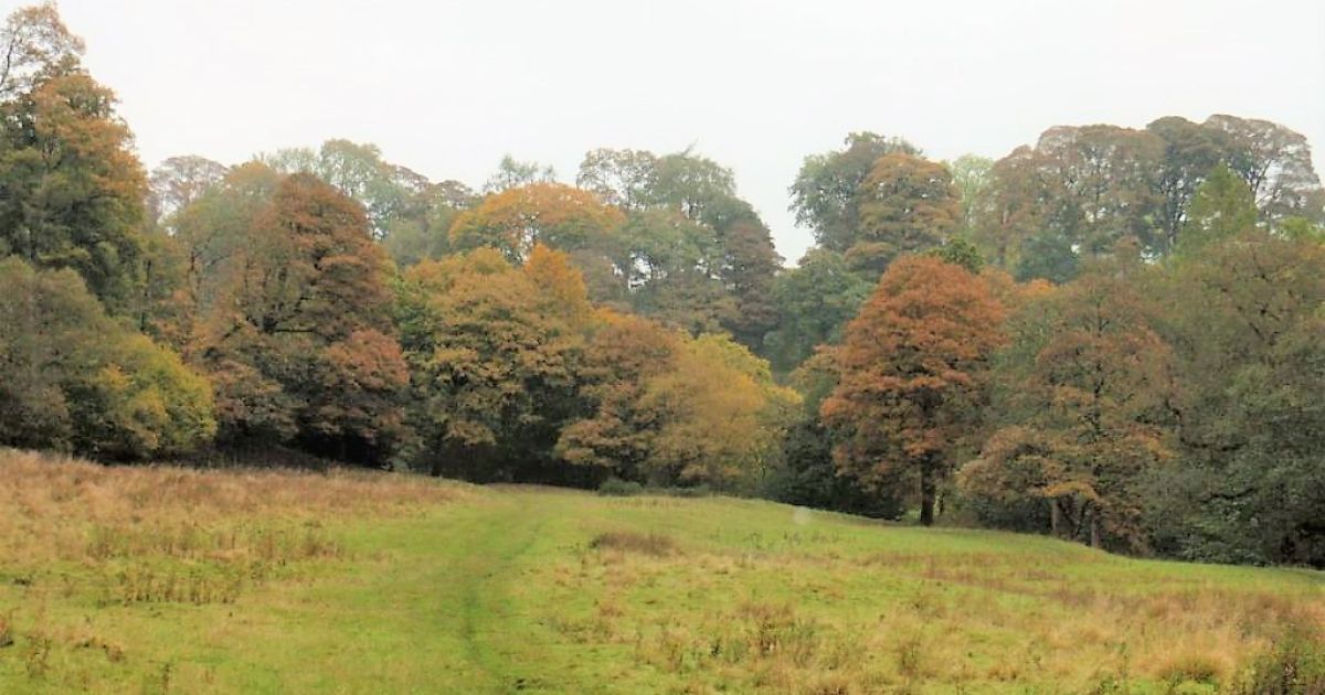 Danebridge and the Roaches - Thurs 7 Sept - Ramblers