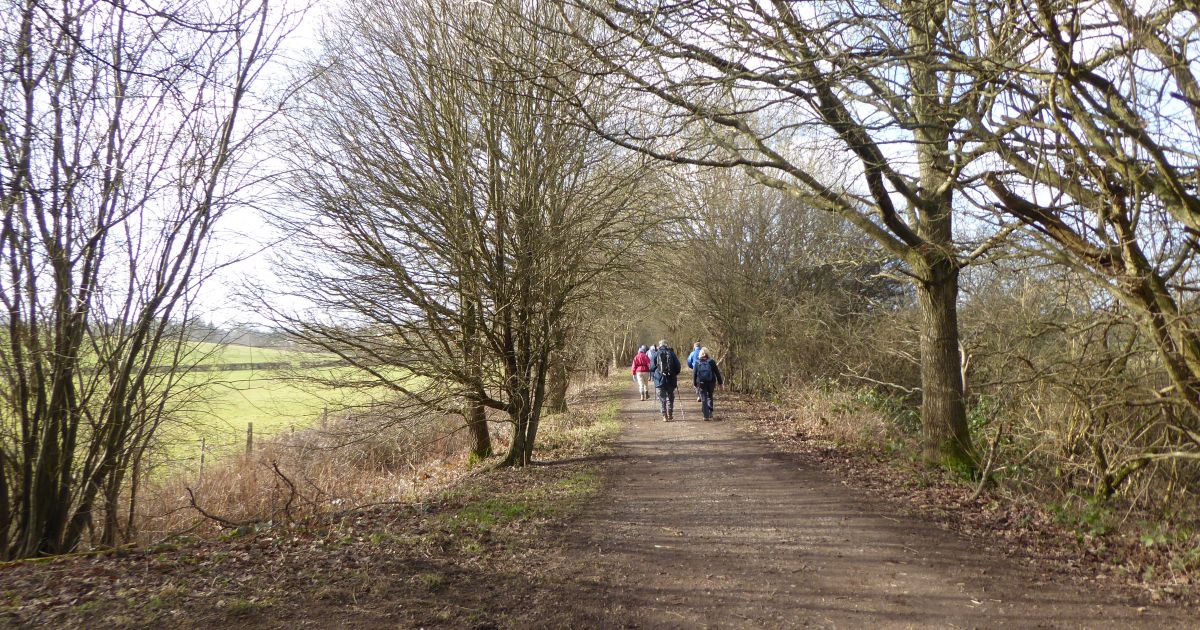 Ashurst Circular Walk - Ramblers