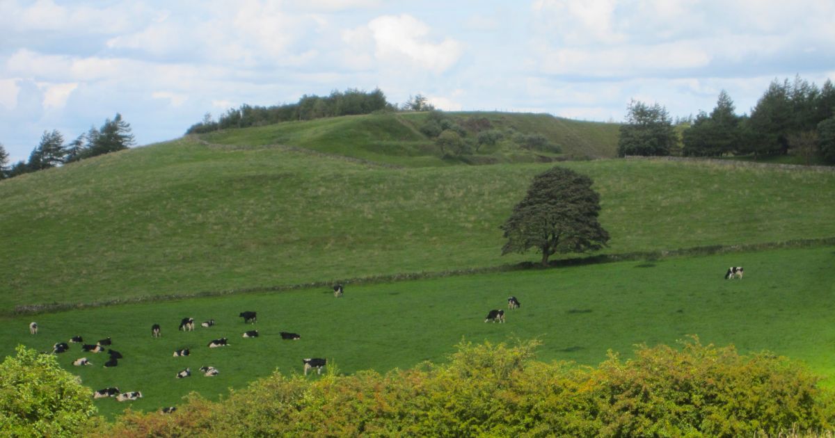 Chelmorton and Flagg - Ramblers