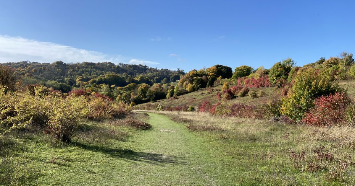 Breathtaking Chilterns - A Favourite Part of the Hills - Ramblers