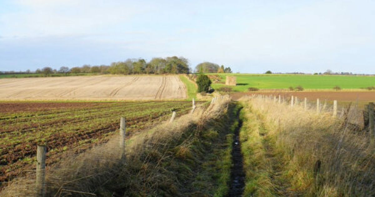 Walk In Hopwas Hopwas and Whittington (Tamworth / Lichfield) with Paul - Ramblers