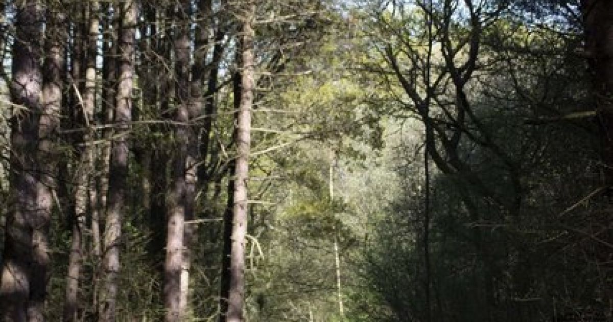 Upton Snodsbury-Libbery-North Piddle - and back! - Ramblers