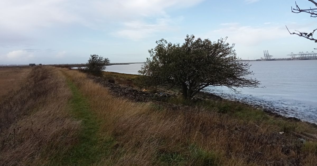 Great Expectations Thames marshes of the Hoo peninsula Ramblers